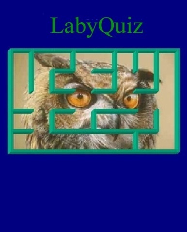 LabyQuiz